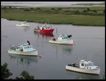 Digital photo titled chatham-fishing-boats
