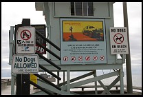 Digital photo titled venice-beach-no-dogs-signs
