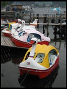 Digital photo titled duck-and-jet-boats-chuzenji-ko