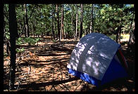 My tent in the Jemez mountains while I worked at Los Alamos (New Mexico).