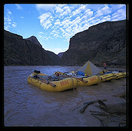 OARS boats in Grand Canyon