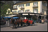 Horse Carriages waiting to take tourists up to Neuschwanstein (King Ludwig II's great castle in Bavaria).