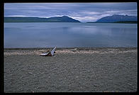 The beach on Naknek Lake.  Katmai National Park, Alaska.