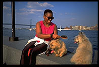 A woman grooms her dogs by the riverfront in Downtown Philadelphia.