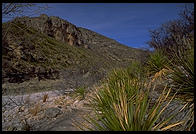Guadalupe Mountains National Park, Texas