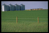 A farm in Alberta, on the way to Calgary from Montana