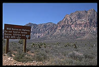 Red Rock Canyon National Conservation Area.  Near Las Vegas, Nevada