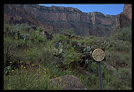 Indian Gardens.  Bright Angel Trail.  Grand Canyon National Park.