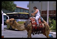Tourist camel rides in Jericho