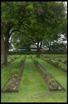 Digital photo titled kanchanaburi-cemetery-trees