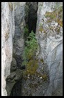 Digital photo titled maligne-canyon-2