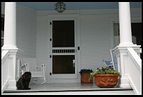 Digital photo titled pug-on-porch