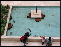 Digital photo titled royal-museum-atrium-fish-pond-1